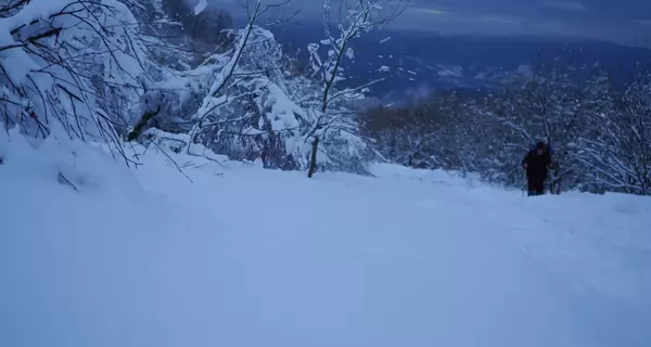 На Закарпатті четвертий день шукають чоловіка, який зник, катаючись на снігоході у горах