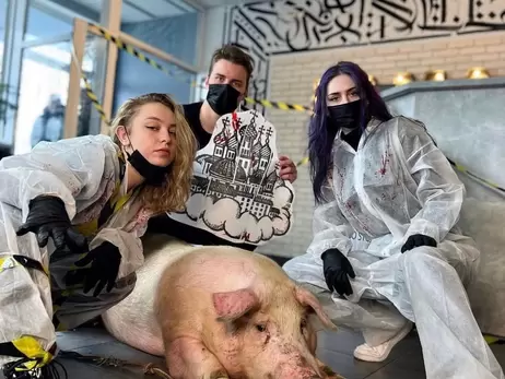 Зоозащитники обратились в полицию из-за рекламы киевского тату-салона с живой свиньей