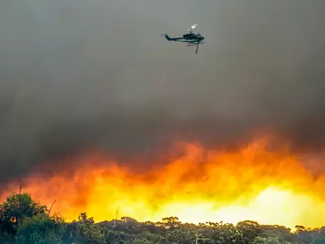 В Австралии снова начались масштабные лесные пожары