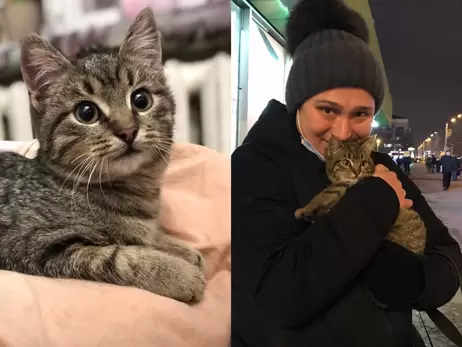 Кошеня, яке 15 годин провело на рейках харківського метро, знайшло нову сім'ю та ім'я