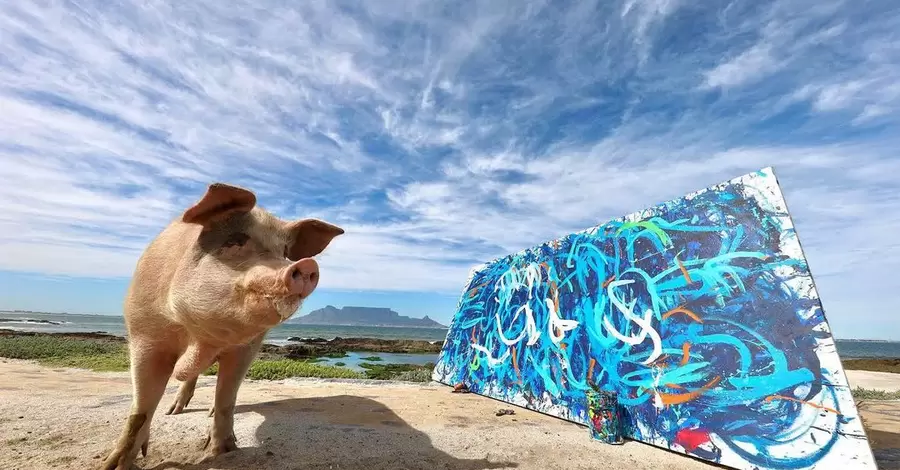 Картину свиньи-художницы продали за 26 тысяч долларов. Животное спасли от забоя в 2016 году
