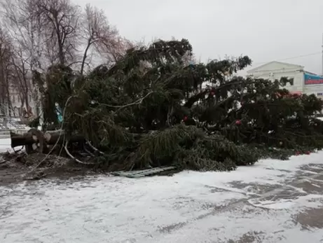 Ураганный ветер свалил две новогодние елки: под Ровно и на Сумщине