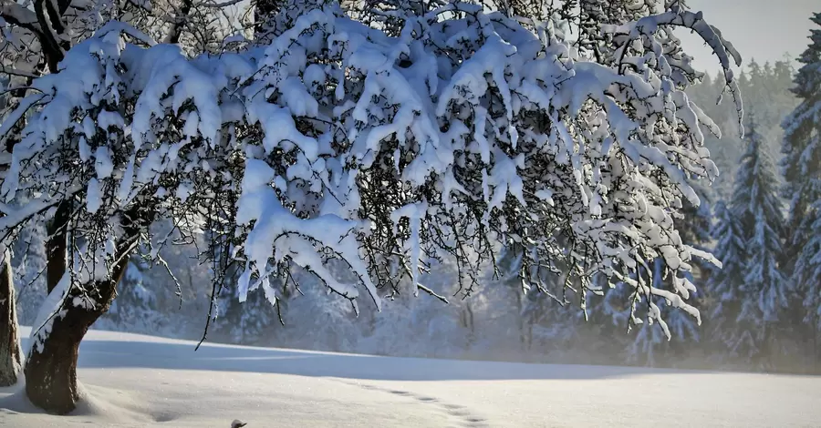 В Укргідрометцентрі попередили про негоду: поривчастий вітер, мокрий сніг та ожеледиця