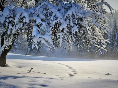 В Укргидрометцентре предупредили о непогоде: порывистый ветер, мокрый снег и гололедица