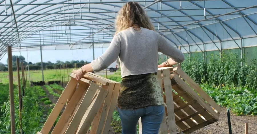 Коли садити, коли полоти &ndash; підкаже план на цілий рік