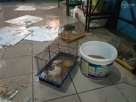 Після потопу на зоовиставці в Маріуполі загинули десятки щурів, їжаків та шиншил