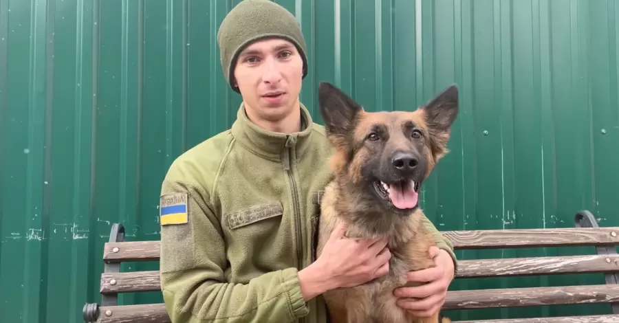 Відео із собакою українських прикордонників набрало понад мільйон переглядів у TikTok та фейсбуці