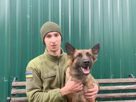 Видео с собакой украинских пограничников набрало более миллиона просмотров в TikTok и Facebook