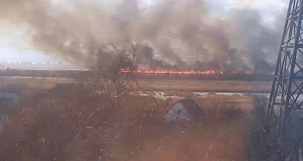 На Одещині палають плавні в національному природному парку