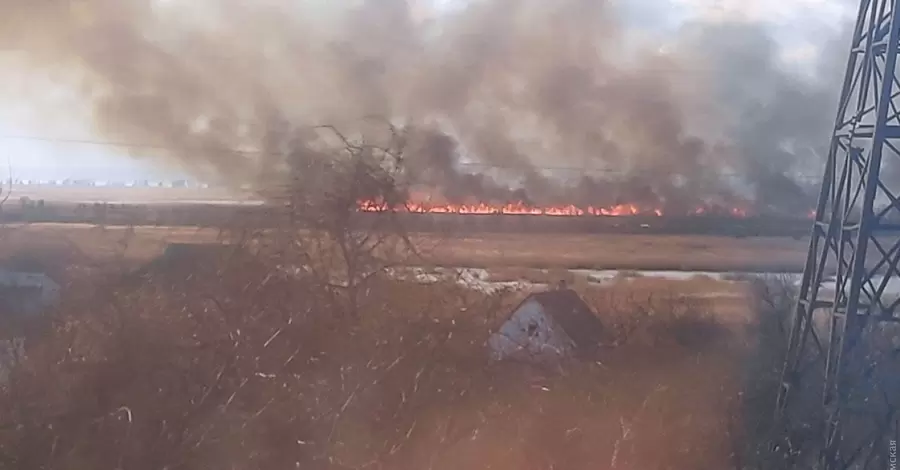 На Одещині палають плавні в національному природному парку