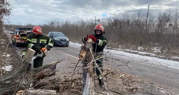 В Украине из-за непогоды обесточены 349 населенных пунктов