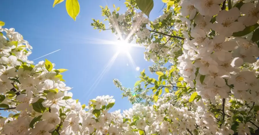 Синоптики предсказали прохладную и солнечную весну в Киеве  