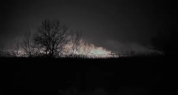 На Одещині вночі паленіли пожежі: загинула худоба і горів Національний парк
