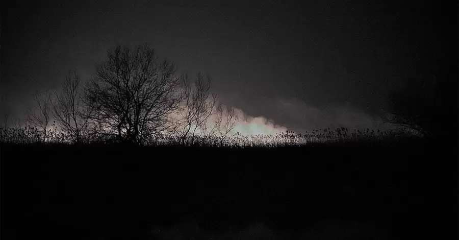На Одещині вночі паленіли пожежі: загинула худоба і горів Національний парк
