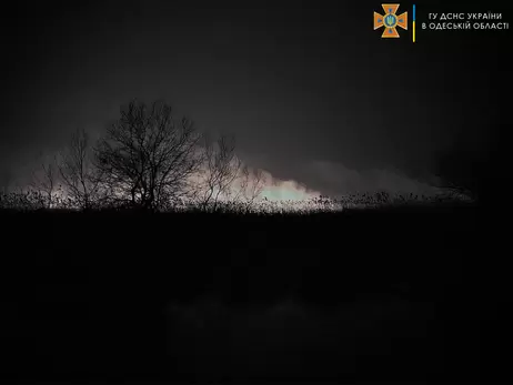 На Одещині вночі паленіли пожежі: загинула худоба і горів Національний парк