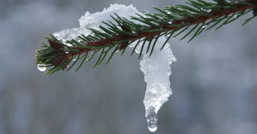 У січні в Києві зафіксували чотири температурні рекорди та рекордну швидкість вітру