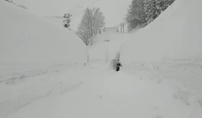 Японию завалили рекордные снегопады