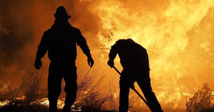 Каліфорнію охопили масштабні лісові пожежі