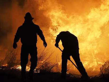 Калифорнию охватили масштабные лесные пожары