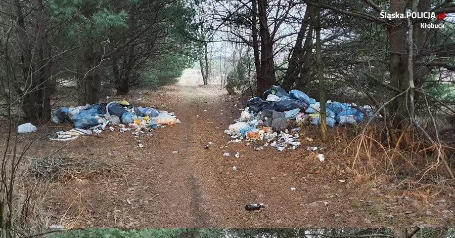 В Польше полицейские неделями выслеживали украинца-нарушителя, чтобы выписать ему штраф