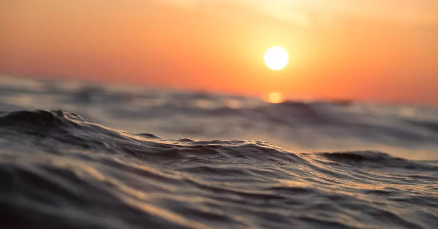 Екологи розповіли, як змінилося Чорне море за останні 30 років