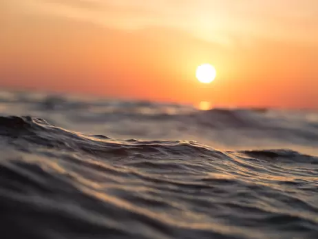 Экологи рассказали, как изменилось Черное море за последние 30 лет
