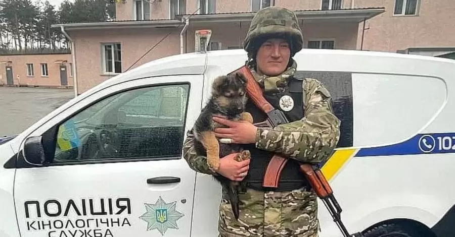 У кинологов Киева появился щенок Байрактар: предсказывает атаки российских войск 