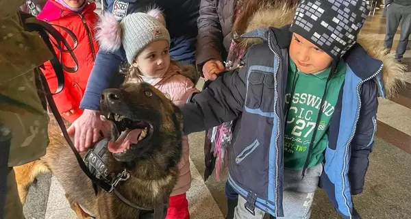 Кинологи с собаками развлекают детей на вокзале, чтобы помочь пережить стресс