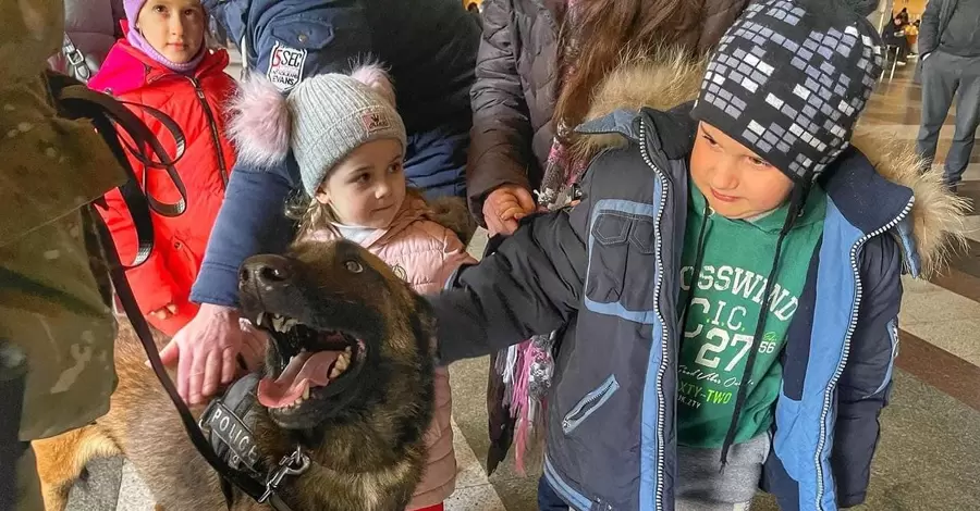 Кинологи с собаками развлекают детей на вокзале, чтобы помочь пережить стресс