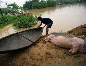 Наводнение в Индии: погибло 70 человек [ФОТО] 