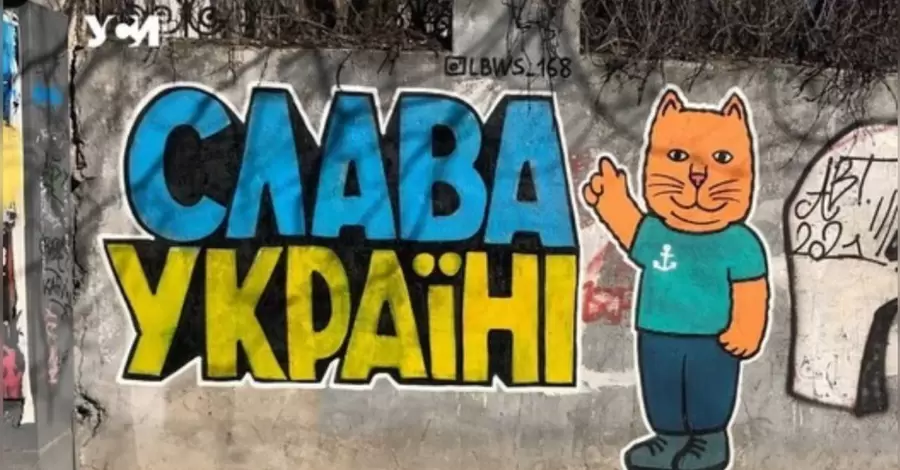 На вулицях Одеси з'явилися патріотичні коти