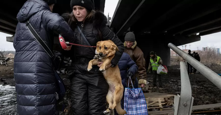 Своїх не кидаємо: зворушливі фото людей та їхніх тварин під час війни