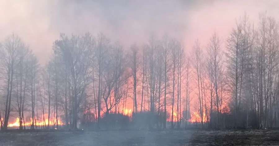 Полтавская ОВА: Поджигатели сухостоя, отвлекающие спасателей, заплатят штраф и будут копать траншеи