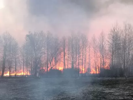 Полтавская ОВА: Поджигатели сухостоя, отвлекающие спасателей, заплатят штраф и будут копать траншеи