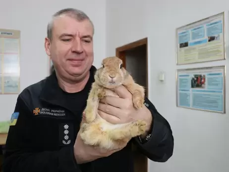 В Харькове пожарные приютили кролика, которого спасли из разрушенного дома