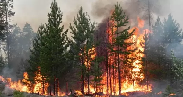 Більшість пожеж у Чорнобильській зоні ліквідовано або локалізовано