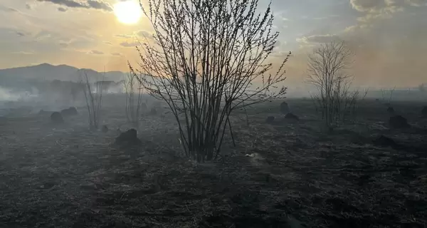 На Закарпатті під час спалювання сухостою загинули двоє людей