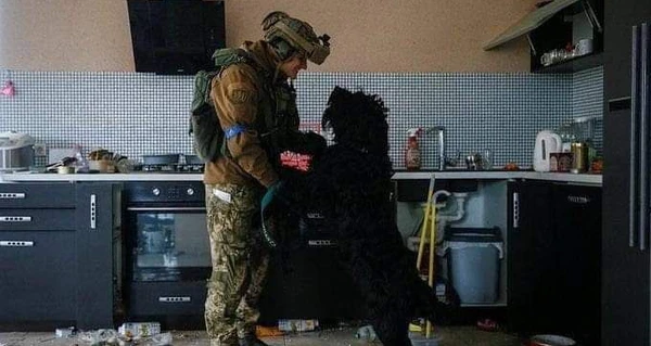 Військові врятували добродушного собаку, кинутого у зруйнованому будинку в Ірпені