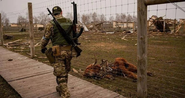 Військові та волонтери намагаються врятувати тварин із приватного зоопарку під Києвом, який потрапив під обстріл