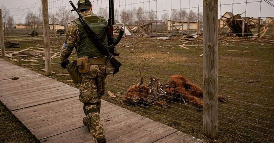 Военные и волонтеры пытаются спасти животных из частного зоопарка под Киевом, который попал под обстрелы