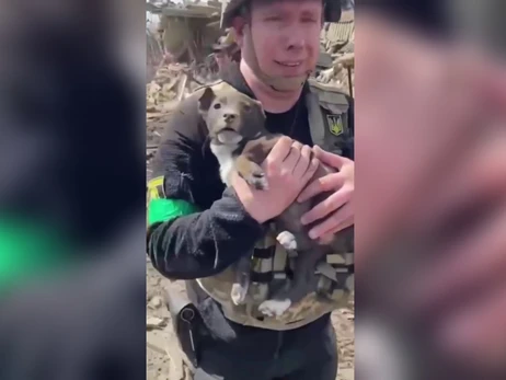 На Донбассе спасатели вытащили из-под завалов щенка, 77-летний хозяин которого чудом выжил