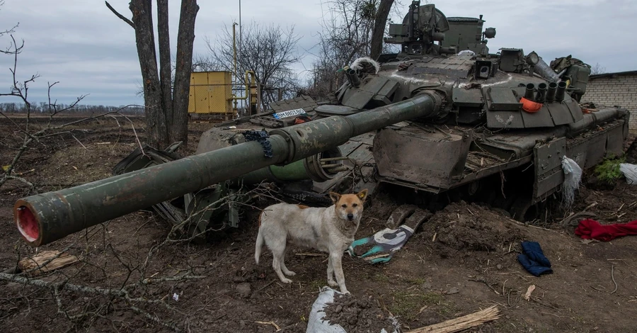 Хозяйка приюта для животных: Услышав колонны танков, собаки научились не издавать ни звука 