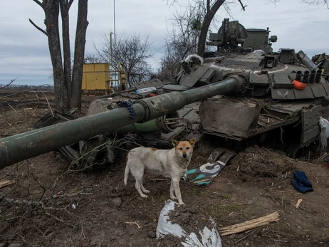 Хазяйка притулку для тварин: Зачувши колони танків, собаки навчилися не видавати жодного звуку