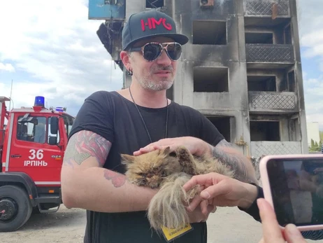 В Бородянке спасли кота, найденного в разрушенной высотке над пропастью в семь этажей