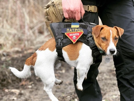 Трюдо захопився сміливістю українського собаки-сапера Патрона