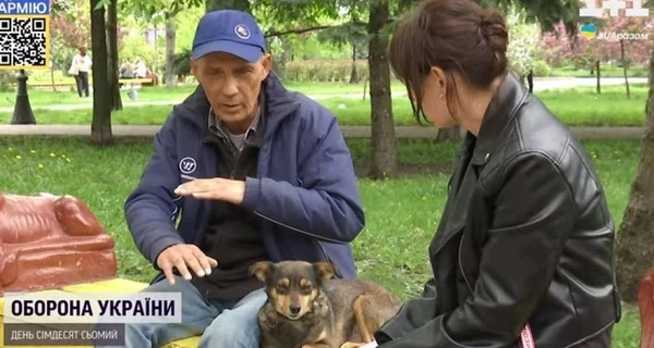 У собачки Жужі, яка разом із хазяїном пройшла 200 кілометрів з Маріуполя, загоїлися лапки