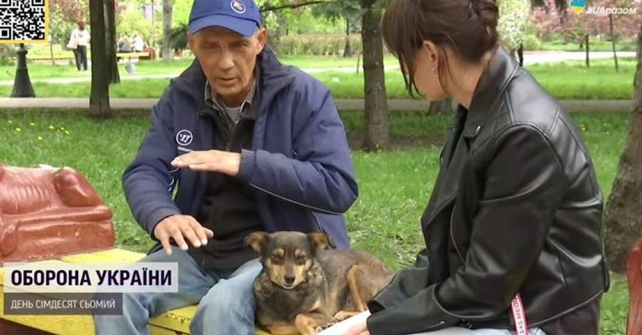 У собаки Жужи, которая вместе с хозяином прошла 200 километров из Мариуполя, зажили лапки
