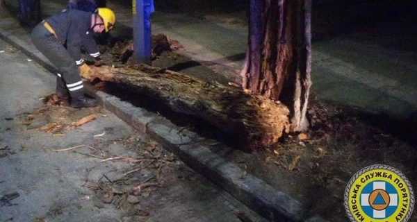 Негода залишила без світла 100 тисяч киян та пошкодила липу Петра Могили