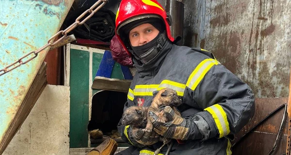 Київські пожежники витягли з вогню та врятували сім цуценят