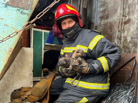 Киевские пожарные вытащили из огня и спасли семь щенков
